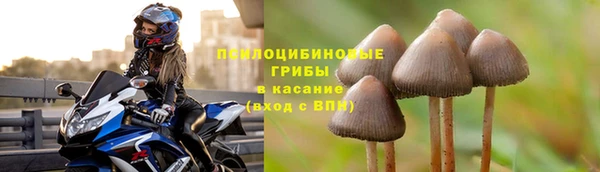 сатива Балабаново