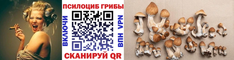 Галлюциногенные грибы мухоморы  Чудово 